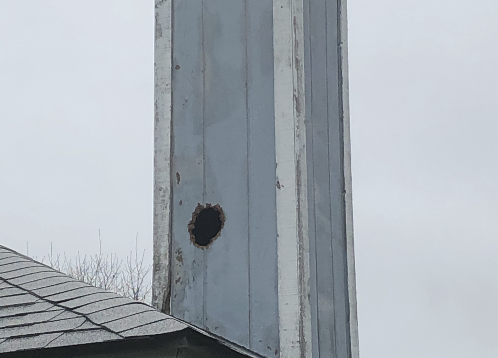 Hole chewed through wood siding of a chimney.