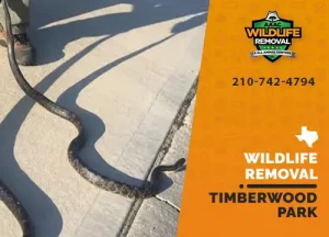 Timberwood Park Wildlife Removal professional removing pest animal